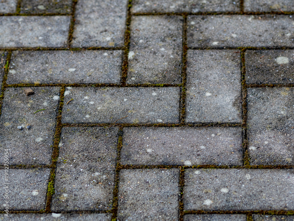 Fototapeta premium Feuchte und verschmutzte Pflastersteine