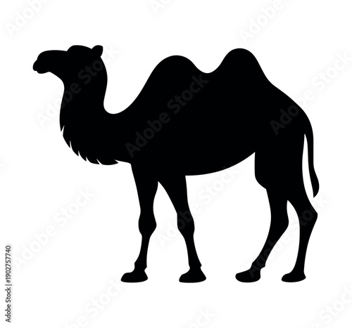 Black Silhouette of a Two Humped Bactrian Camel Standing Vector Illustration for Logo and Design Icon