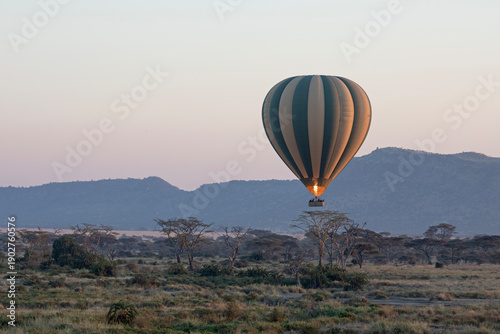 A hot air balloon floats above the Serengeti national park at dawn.