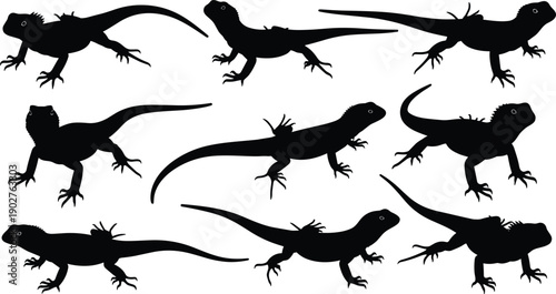 Lizard silhouette collection featuring majestic bearded dragons in various crawling and standing poses isolated on white background for wildlife nature and reptile design
