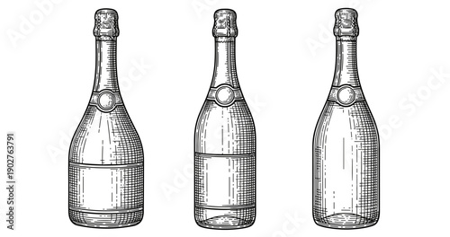 Vintage engraving of champagne bottles in black and white