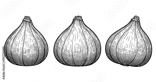 Detailed black and white sketch of three pears with crosshatch shading