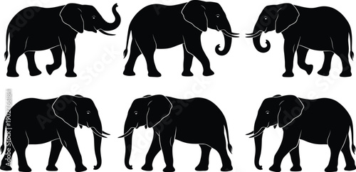 African elephant silhouette collection featuring majestic trunk up and walking poses isolated on white background for wildlife nature and safari travel design