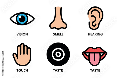A colorful infographic illustrating the five human senses in a simple and educational format.