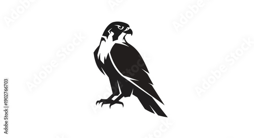 Black silhouette of a bird of prey on white