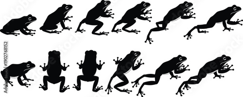 Frog silhouette collection featuring majestic amphibians in various jumping and sitting poses isolated on white background for wildlife nature and pond design