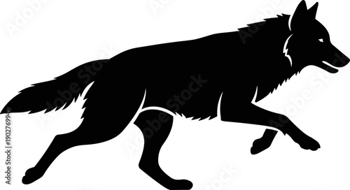 Black wolf silhouette running isolated on white background stylized prowling timber wolf vector illustration for outdoors wildlife and nature conservation themes