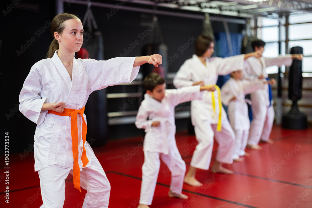 © JackF - Group of boys and girls in kimonos train karate techniques in studio © JackF - Group of boys and girls in kimonos train karate techniques in studio