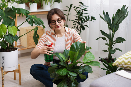 Konstfotografi Woman spraying beautiful potted houseplant with water indoors