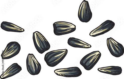 Sunflower seeds. Natural dry raw kernel icon