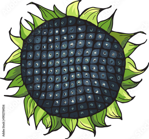 Ripe sunflower with black seeds. Dry kernel growing plant