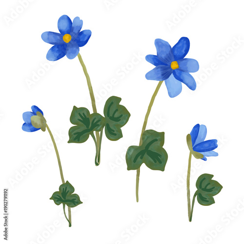 Hand-painted watercolor saffron crocus flower set featuring delicate Crocus sativus spring blossoms in soft natural tones. Botanical clipart collection created with realistic watercolor textures 