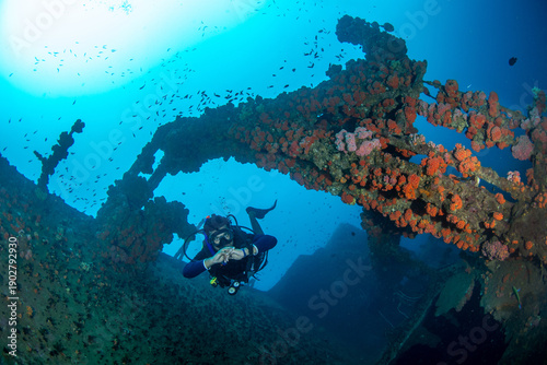 Scuba diver swimming around coral-covered shipwreck, Colombo, Sri Lanka