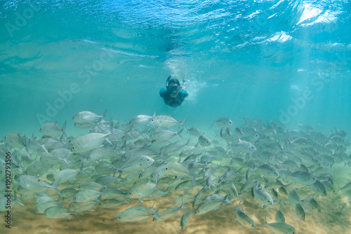 Female snorkeler swimming with tropical fish, Hikkaduwa, Sri Lanka