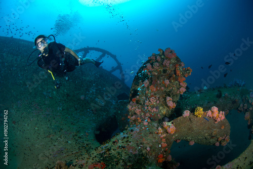 Woman scuba diving on shipwreck with reef fish, Colombo, Sri Lanka