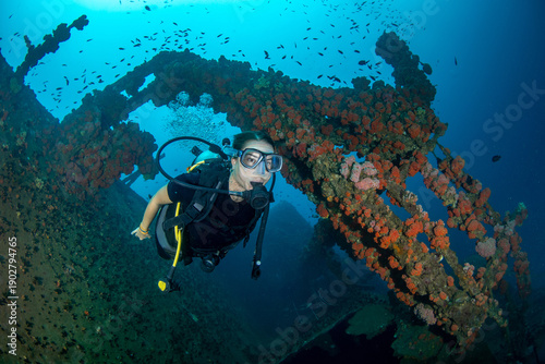 Woman scuba diving on shipwreck with reef fish, Colombo, Sri Lanka