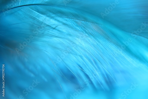 Fotografie Macro photo feathers colored artistic bohemian style cozy boho aesthetic backgro