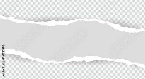 Horizontal Ripped Paper Edge Gray Banner with Transparent Background