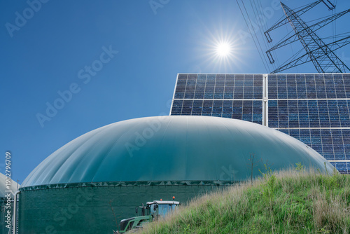 Biomass as a flexible green 