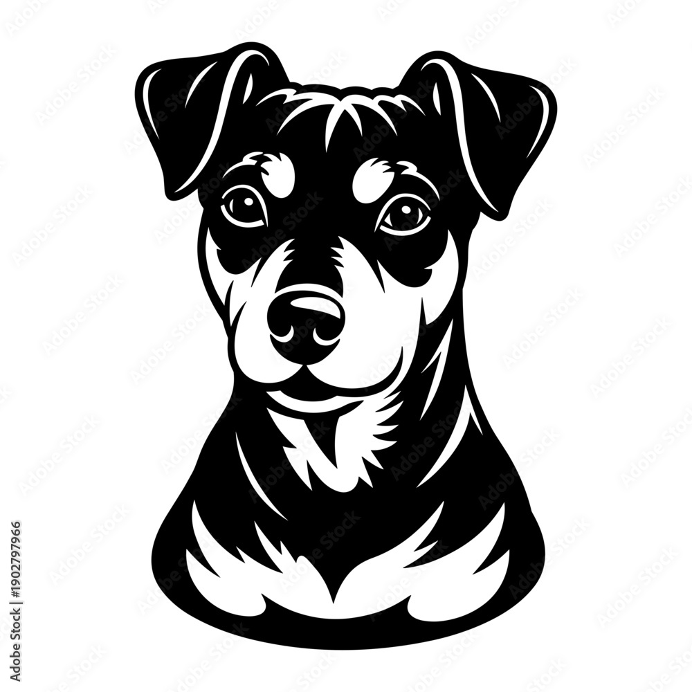 Φωτογραφία Manchester Terrier Dog