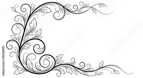 Elaborate Black and White Floral Frame Corner Design with Intricate Leaves and Decorative Scrolls on an Isolated White Background