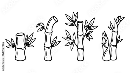 bamboo , 4 cute black Hand drawn line art cartoon vector, white background. PNG and SVG
