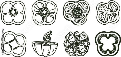 Set of various floral designs and geometric patterns in black outline on white background for graphic resources and creative projects