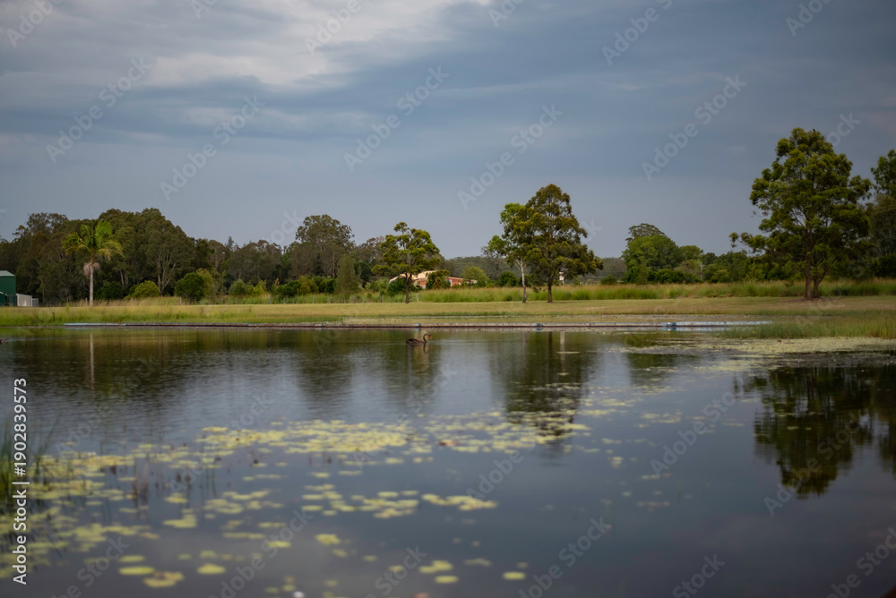 Fototapeta premium lake on a stormy afternoon