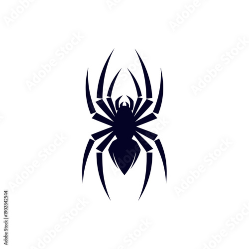 Black Spider Silhouette on White Background.