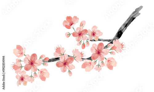 水彩でラフにスケッチした桜の枝木