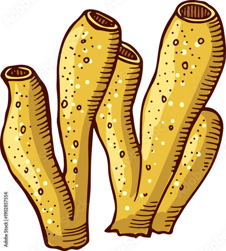 Tube coral drawing. Tropical ocean underwater life