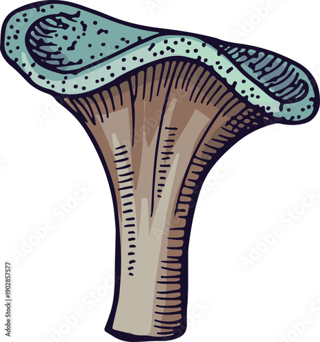 Mushroom coral drawing. Underwater wild reef fauna