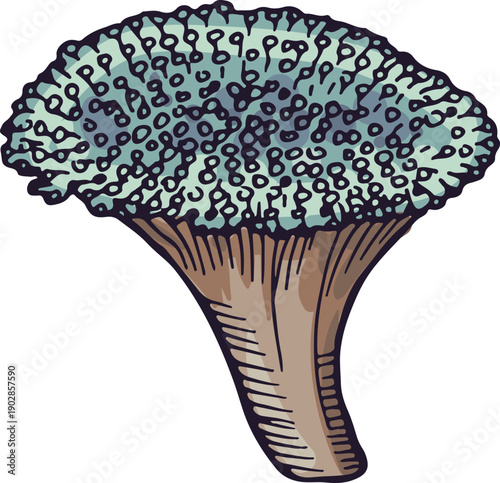 Coral reef element. Natural exotic aquarium decoration