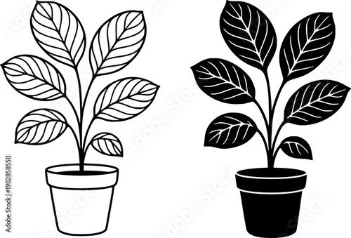 Plant icon, vector illustration of prayer plant, black and white in outline and silhouette design style