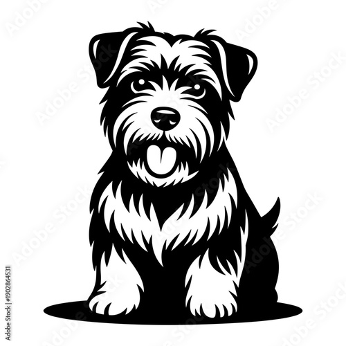 Norfolk Terrier Dog