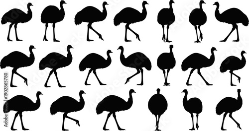 Emu Bird Silhouette Collection Displaying Multiple Walking Poses, Australian Wildlife Concept, Large Flightless Animal Shapes, Nature Illustration, Zoology Design, and Animal Movement Study