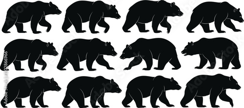 Bear silhouette vector set walking grizzly wildlife animal poses woodland predator nature black illustration collection outdoor mascot design