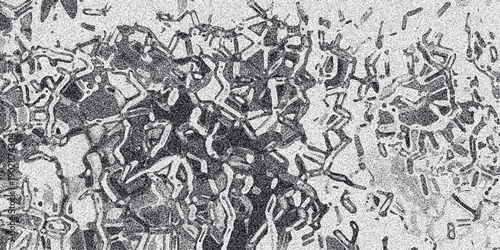 Detailed abstract grayscale texture with a network of interconnected geometric shapes and speckled elements, offering a complex and modern visual for backgrounds