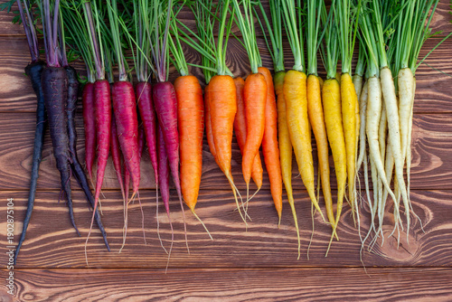 Bunch of colorful yellow, red and orange carrots (Rainbow mix variety) and white (Luna white variety) and Deep purple with green foliage are on the brown wooden table. Fresh fall crop.
