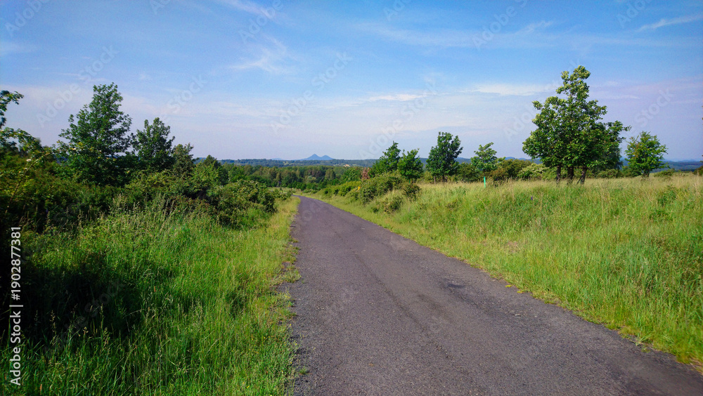 Obraz premium View of a road crossing a wooded meadow on a sunny day