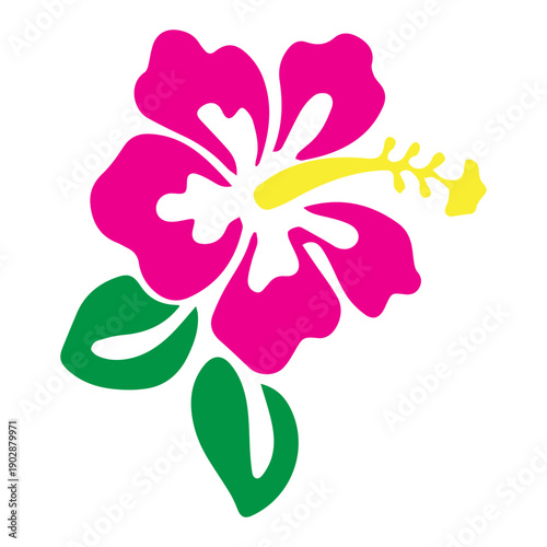 Vibrant Hibiscus Blossom