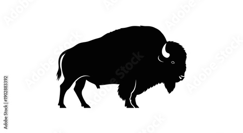 Black bison silhouette standing isolated on white background