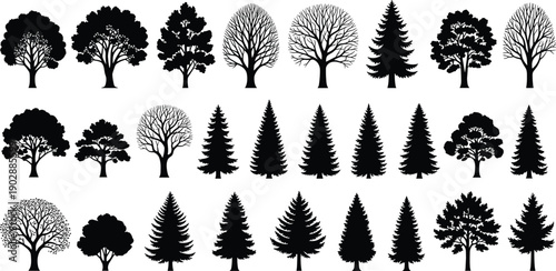 Tree silhouettes collection set, deciduous and pine forest trees, black botanical nature icons vector illustration isolated on white background