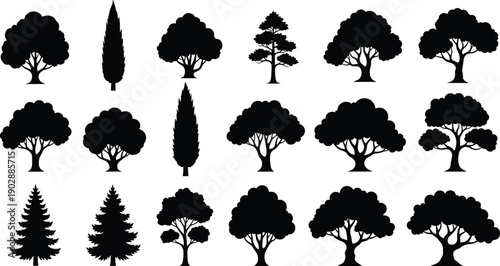 Tree silhouettes collection, forest tree shapes set, nature woodland icons, black tree silhouettes isolated on white background