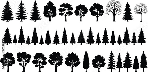 Tree silhouettes collection, forest trees shapes, pine oak deciduous conifer trees, nature landscape vector illustration set