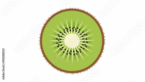 Minimalist fresh kiwi fruit slice illustration vibrant green juicy tropical healthy background
