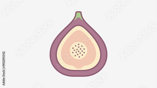 Stylized cross-section of a fresh purple fig fruit showcasing its sweet interior pulp and seeds
