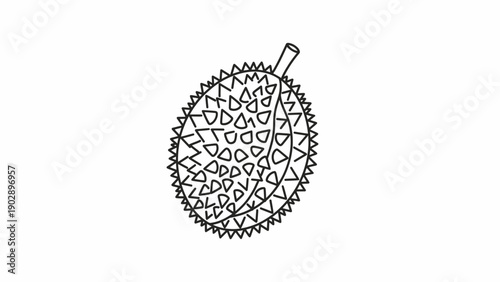 Minimalist black and white line art illustration of a durian tropical fruit vector graphic icon