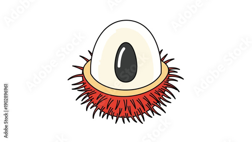Vibrant cartoon illustration of a tropical rambutan fruit peeled revealing its succulent white