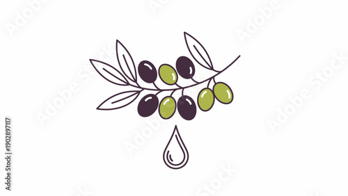 Minimalist line art of an olive branch with colorful olives and a pure oil drop